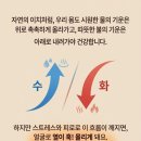 오늘은스킨&테라피