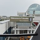 이모하여행사 | [일상블로그] 5월 일상(3) _ 후쿠오카 출발 ✈️