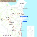 통영서커스 이미지