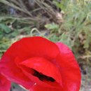 이젠 버티기..ㅎ 이미지