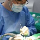 계양플란트인치과의원 네이버블로그