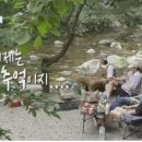 이금돈지 이미지