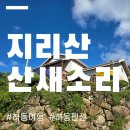 산새소리물소리 | 경남 하동 펜션 :: 하동 가족여행 '지리산 산새소리펜션' 후기