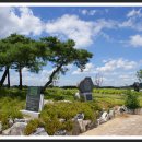 갯골생태공원(해수체험장) 이미지