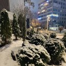 역전이화약국 이미지