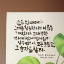 수채캘리그라피 이미지