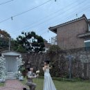 꽃마당 | [테오그라피 촬영후기] 마당 꽃길 배경 프러포즈씬