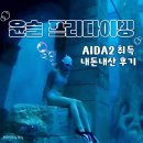 SB스포츠 | 윤슬 프리다이빙 아이다 레벨 2 (AIDA2) 취득 내돈내산 후기