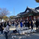 별빛댕댕