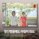 와요 | 정신병동에도 아침이 와요 줄거리 후기, 마음이 지쳐 눈물 쏟고 싶은 날 정주행 추천
