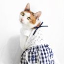 마린블루'S 이미지