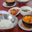 돌고래식당 이미지