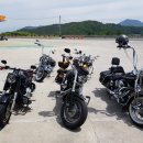 버팔로 당구장 이미지