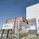 비비다아리 이미지