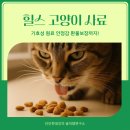 냥스타그램 | 식욕 없던 고양이가 힐스를 잘 먹는 이유｜수의사 추천 사료 후기