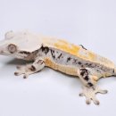 우성슈퍼 이미지