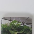 (주)드림테크 이미지