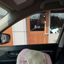 뜰안에냥 | 고양이 무마취 미용