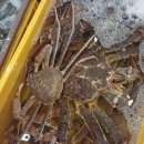 유달유통 | 2026.1.10 문주수산시세