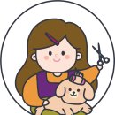 보라애견미용실 - 평택시 안현로서6길 5 | 보라애견미용실