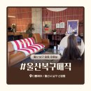 남구-129 | 울산 남구 달동 미용실 디롭헤어 추천, 복구매직 잘하는 강인희 원장님 후기