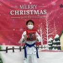 부산TIA태권도 이미지