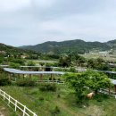 장수승마장 이미지