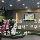 트윈빌 스크린골프 이미지