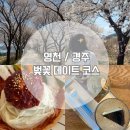 영지초등학교 | 데이트 코스 추천 | (영천 벚꽃 예쁜 길, 영천댐, 경주 영지 러스틱커피, 황리단길 여미온, 읍성 담다)