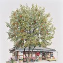 그린슈퍼마켓 이미지