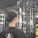 아일랜드피티짐 이미지