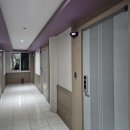 황금모텔 2 이미지