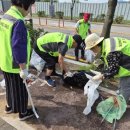 옥정경로당 이미지