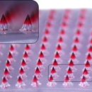 (주)kb팜 이미지