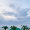 남애항 해녀횟집 이미지