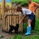 흑염소마루 이미지