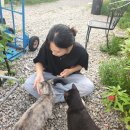 델리오펜션