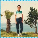 돋섬 Daum카페