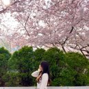 삼익비치B상가시장 이미지