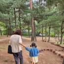 소산서원 유아숲체험원 이미지