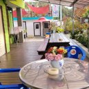 연꽃당구장 이미지