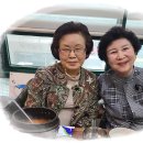 윤태금 복국 이미지