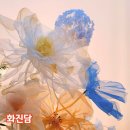 보산원초등학교 | 천안 광덕 카페 화진담 감성 가득한 포토존 카페