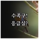 도담이비인후과의원 | 안성시 수족구 진료 병원 총정리 | 증상부터 응급실까지