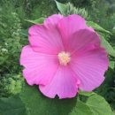 팔월펜션 이미지