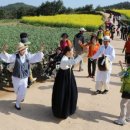 청산도느림보마을 이미지