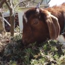 천상천하농장 이미지