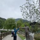 아리바우길(정선코스) 이미지