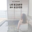 비고리조트 11 이미지
