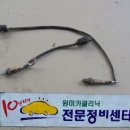 바이러니시스템 이미지